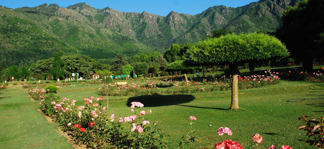 Jawaharlal Nehru Botanical Garden