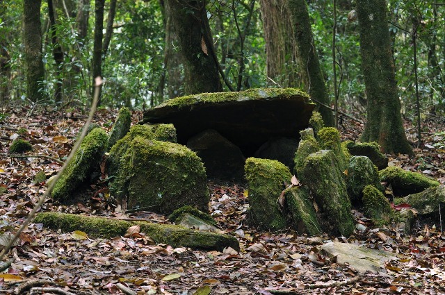 Mawphlang Sacred Forest