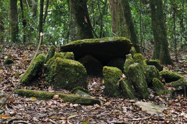     Mawphlang Sacred Forest