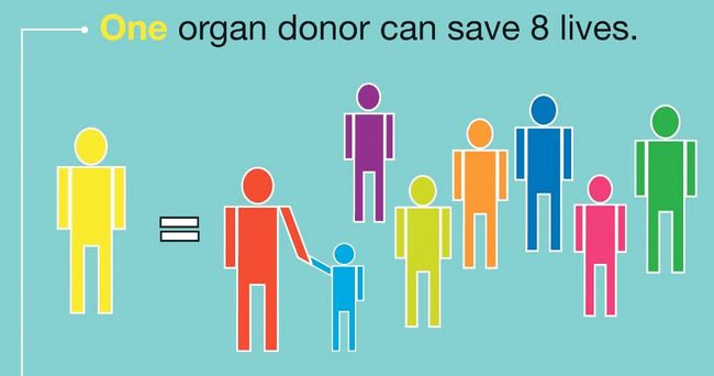 Organ-Donation-people-loss