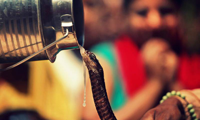 nag panchami