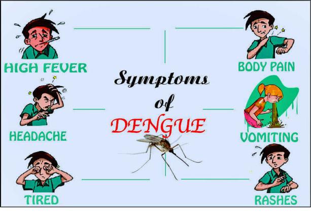 Dengue Symptoms