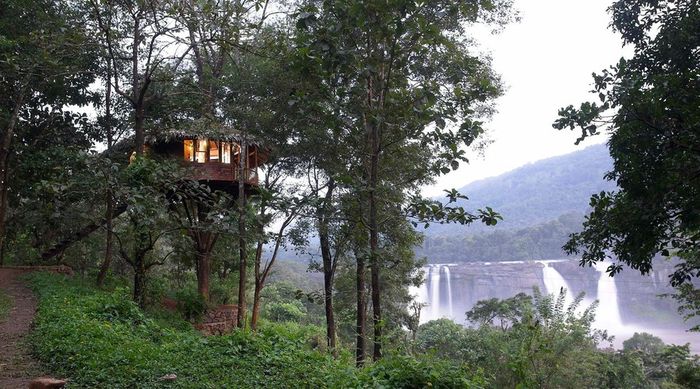 Guru - Rainforest Resort, Athirapally