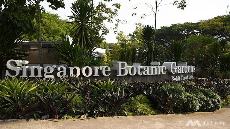 Singapore Botanic Gardens 