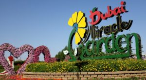 Dubai Miracle Garden